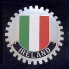 Our Irish Flag Enamaled Car Grill Badge