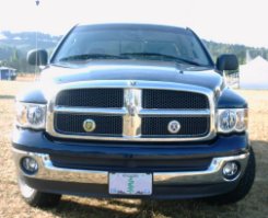 A fine example of Car Grill Badges from your smALL FLAGs store. That's Ireland on the left and Scotland on the right.