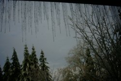 The stalagtites are ice; most of the stalagmites are Douglas firs trees!