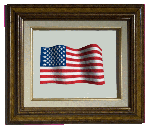 No, we don't sell this framed picture. It's just here to provide a pretty link to the Flags Product index page of your smALL FLAGs store.
